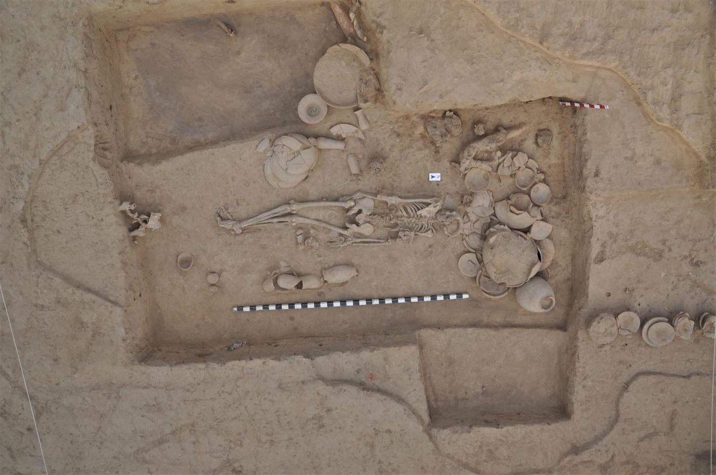 This is a photograph of the skeleton analyzed in this study, shown associated with typical Indus Valley Civilization grave goods and illustrating the typical North-South orientation of IVC burials./ Credit:  Vasant Shinde / Deccan College Post Graduate and Research Institute