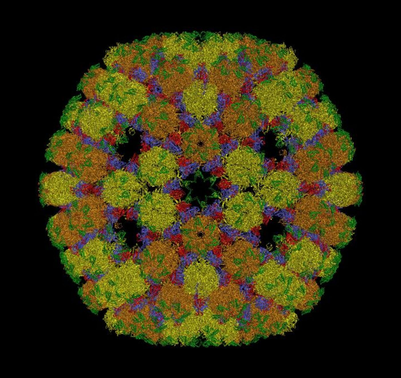 The new mathematical framework changes the way we understand the structure of viruses such as Herpes. / Credit: Prof Reidun Twarock, University of York