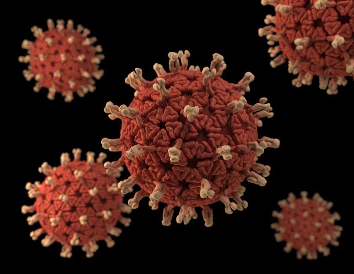A 3D graphical representation of a number of Rotavirus virions set against a black background. The characteristic wheel-like appearance gives the Rotavirus its name, which is derived from the Latin rota, meaning "wheel". Rotaviruses are nonenveloped, double-shelled viruses, making them quite stable in the environment. / Credit: CDC/Jessica A. Allen / Illustrator: Alissa Eckert, MS