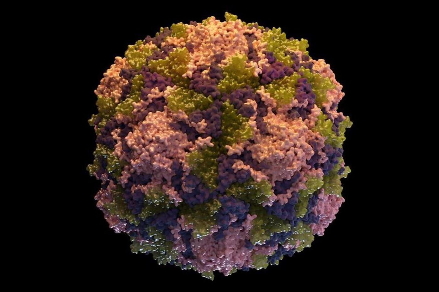 An illustration of a poliovirus particle / Credit: CDC/ Sarah Poser / Photo Credit: Meredith Boyter Newlove, M.S.