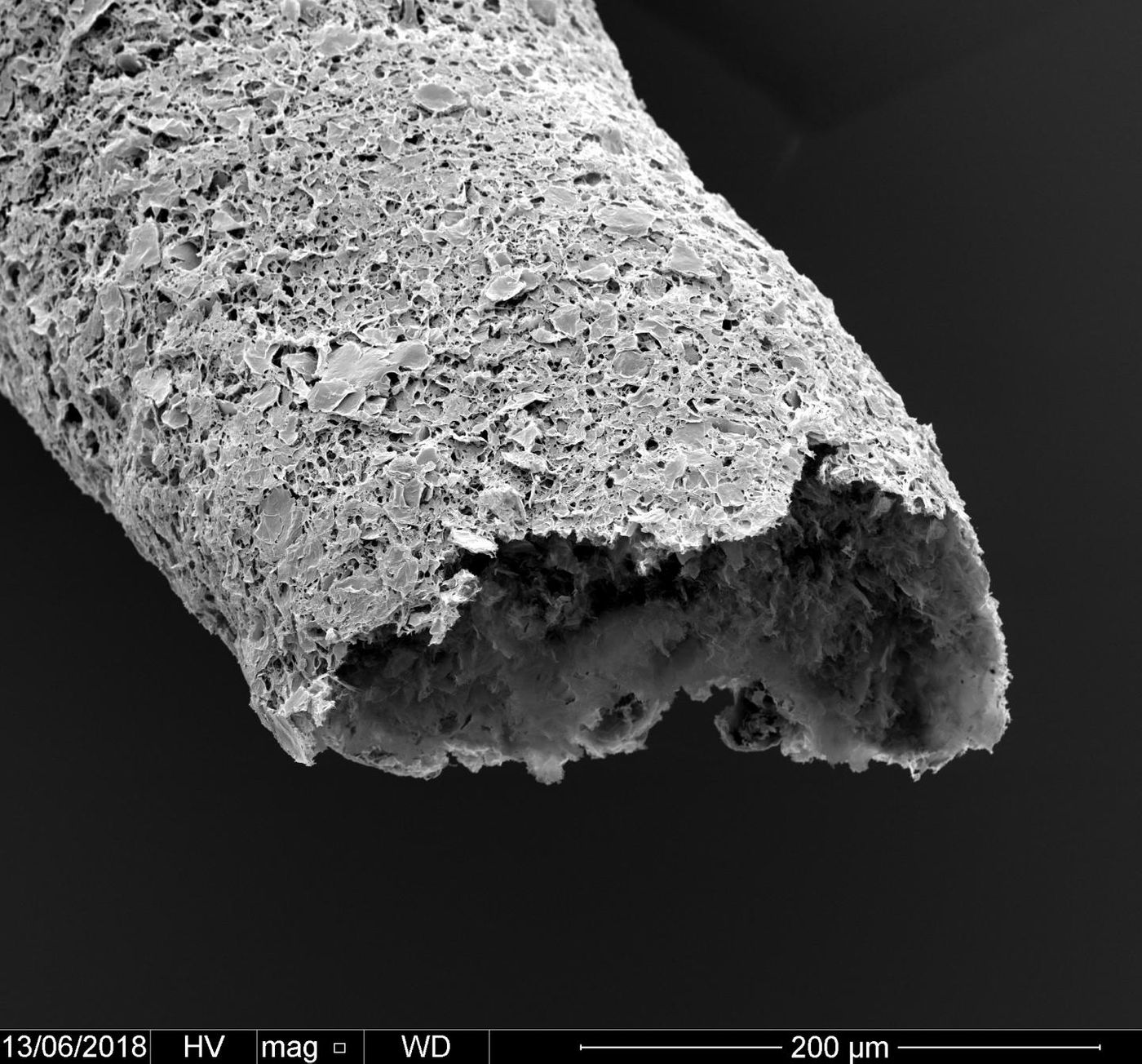 Close-up of a tubular structure made by simultaneous printing and self-assembling between graphene oxide and a protein. / Credit: Professor Alvaro Mata