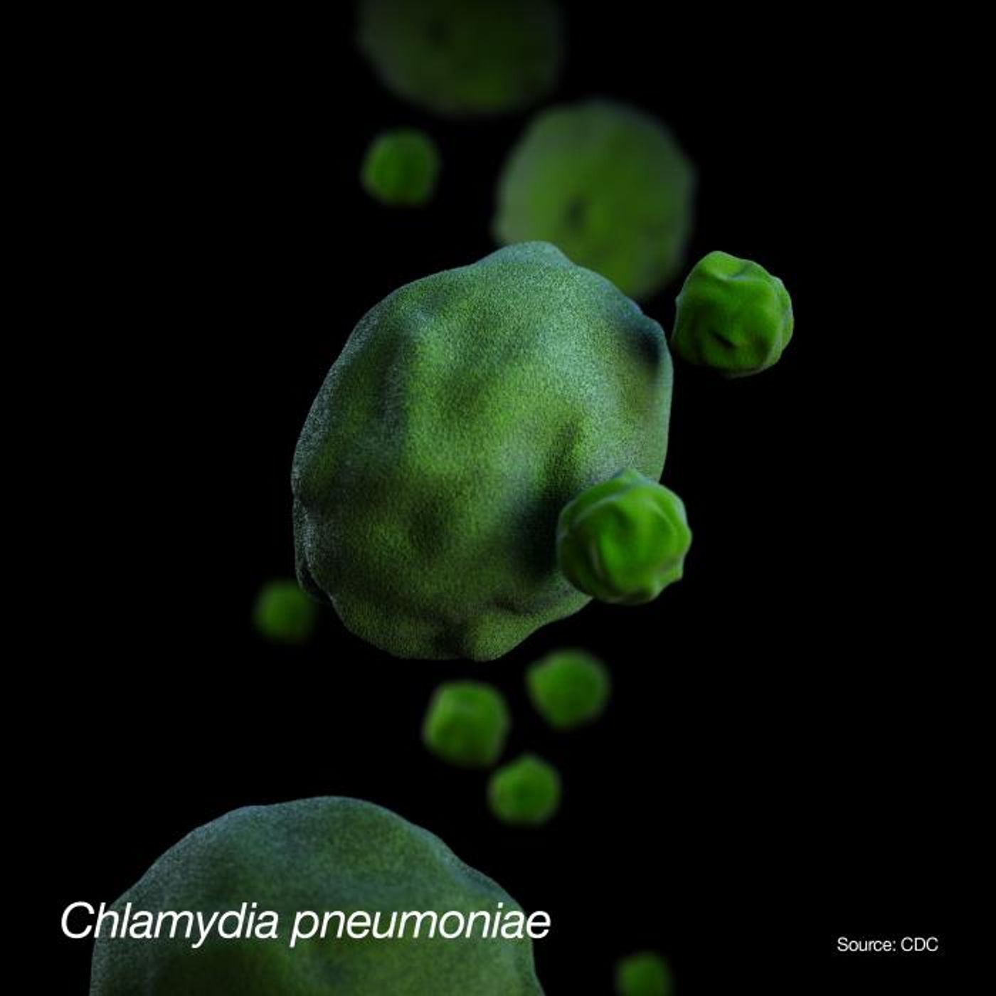 A 3D, computer-generated illustration of a group of Chlamydia pneumoniae bacteria.  / Credit: CDC/ Sarah Bailey Cutchin / Illustrators: Alissa Eckert; Robert Hobbs