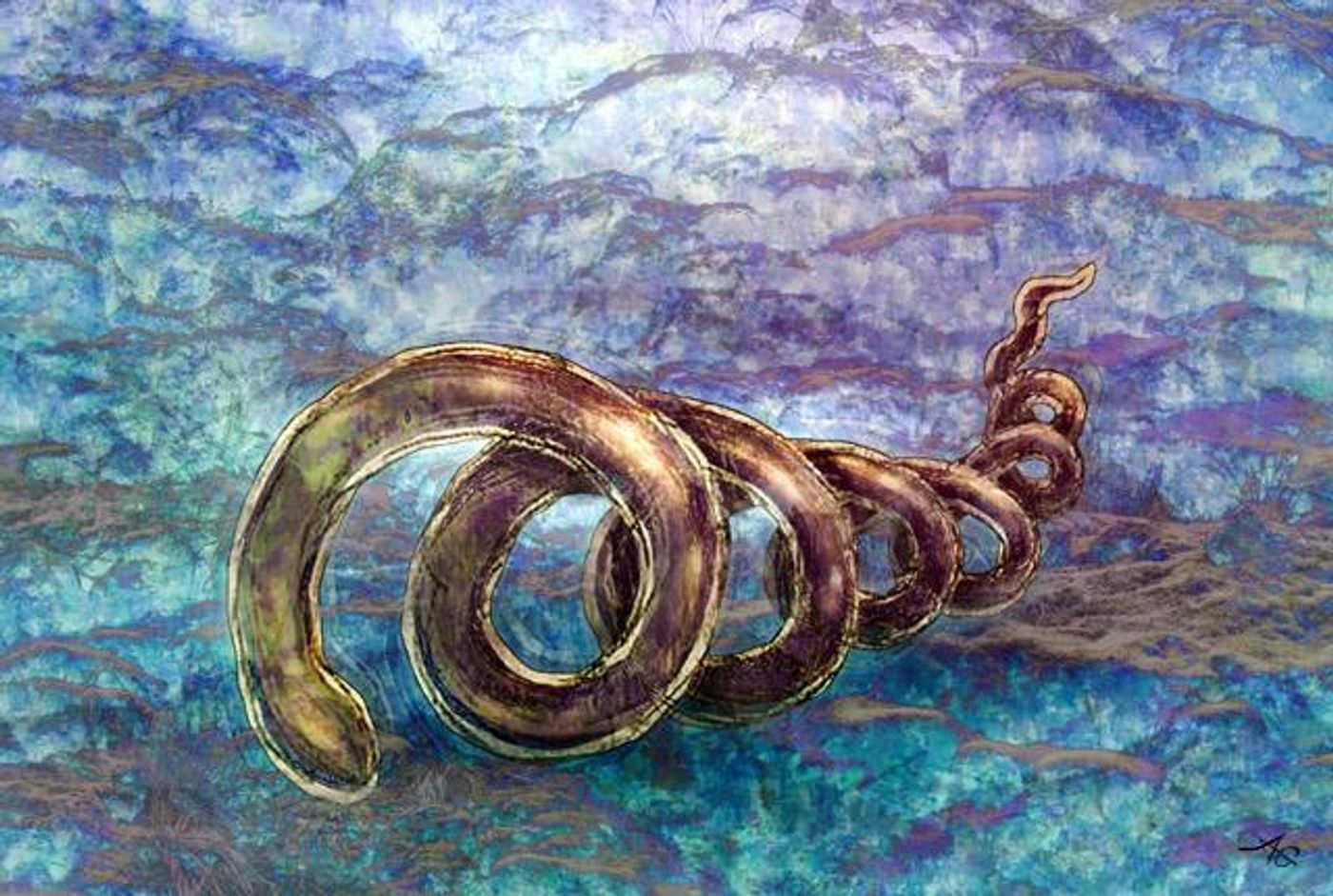 A watercolor-like illustration of Treponema pallidum, the bacterium that causes syphilis. / Credit: Alice C. Gray