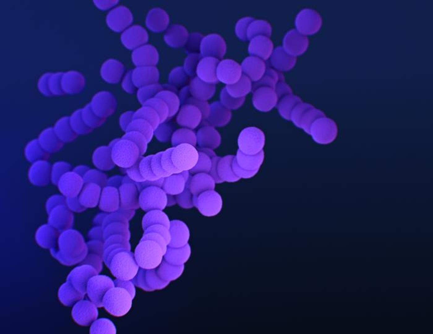  A medical illustration of erythromycin-resistant, group A Streptococcus bacteria / Credit: CDC/ Antibiotic Resistance Coordination and Strategy Unit / Photo Credit: Medical Illustrator: Meredith Newlove