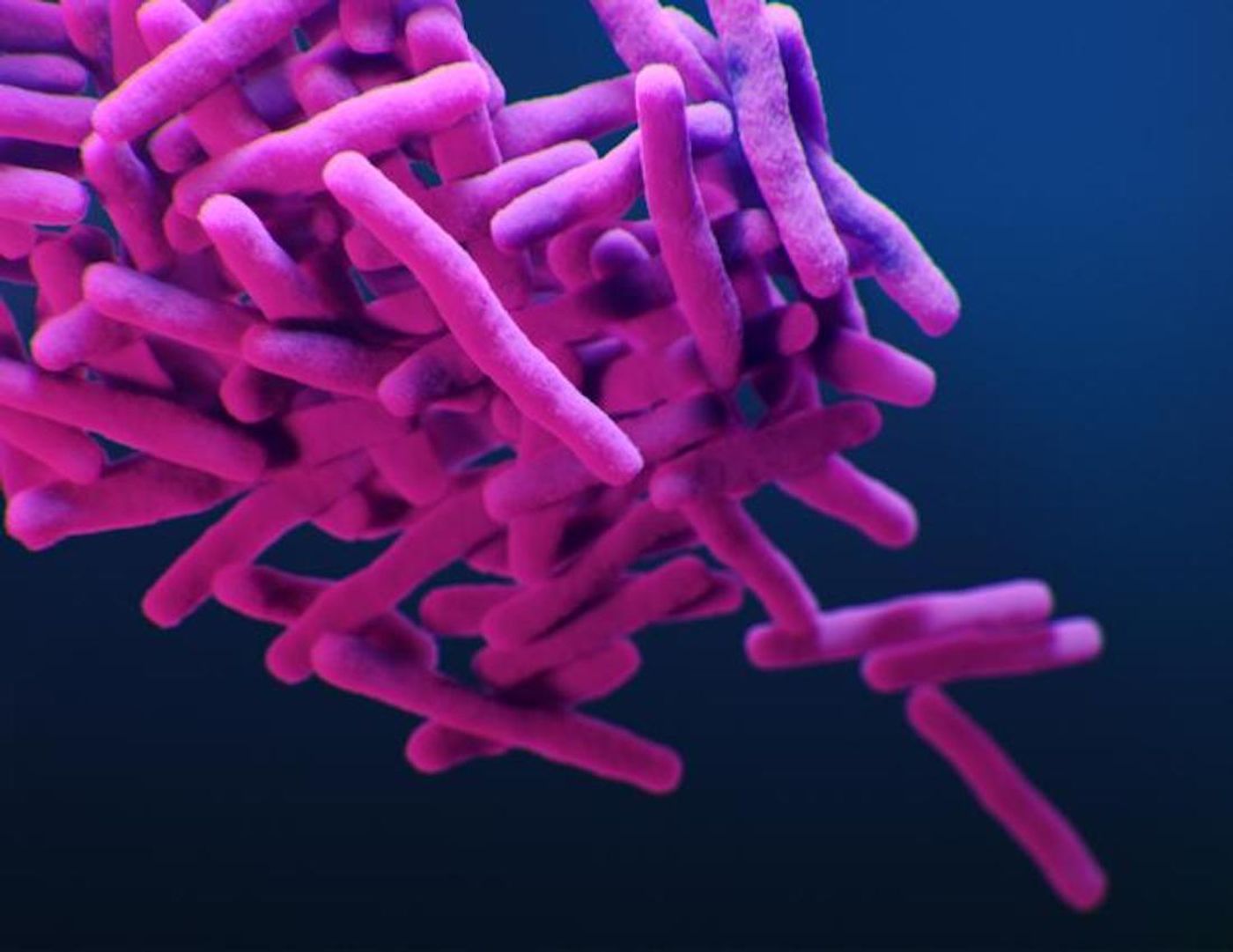 A medical illustration of drug-resistant, Mycobacterium tuberculosis bacteria / Credit: CDC/ Antibiotic Resistance Coordination and Strategy Unit / Medical Illustrators: Alissa Eckert; James Archer
