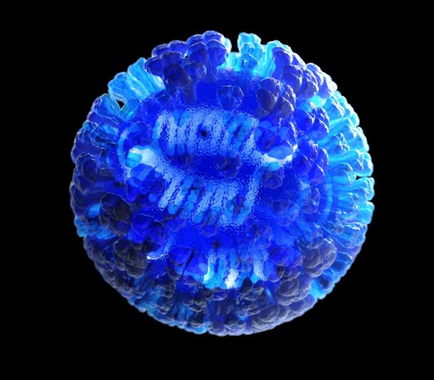 A 3D computer-generated rendering of a whole influenza (flu) virus / Credit: CDC/Douglas Jordan/Illustrator: Dan Higgins