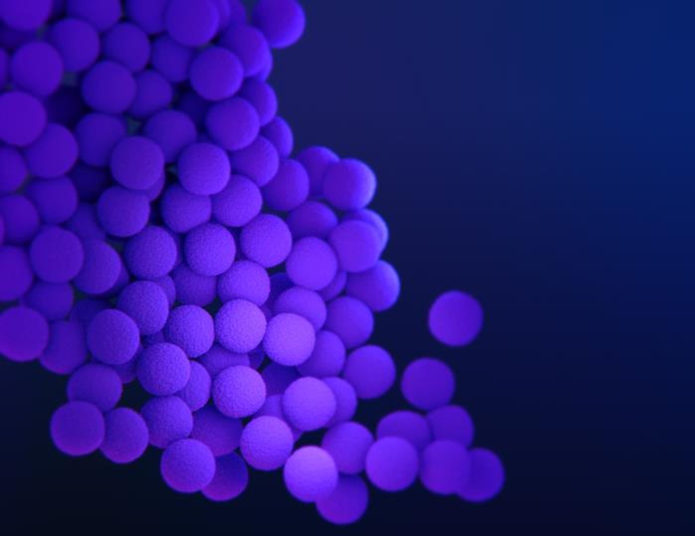 A medical illustration of methicillin-resistant, Staphylococcus aureus (MRSA) bacteria /Credit: CDC/ Antibiotic Resistance Coordination and Strategy Unit / Photo Credit: Medical Illustrator: Meredith Newlove