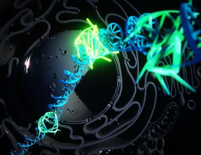 Illustration of uadruple helix DNA (green) forming Credit: Ella Maru Studio