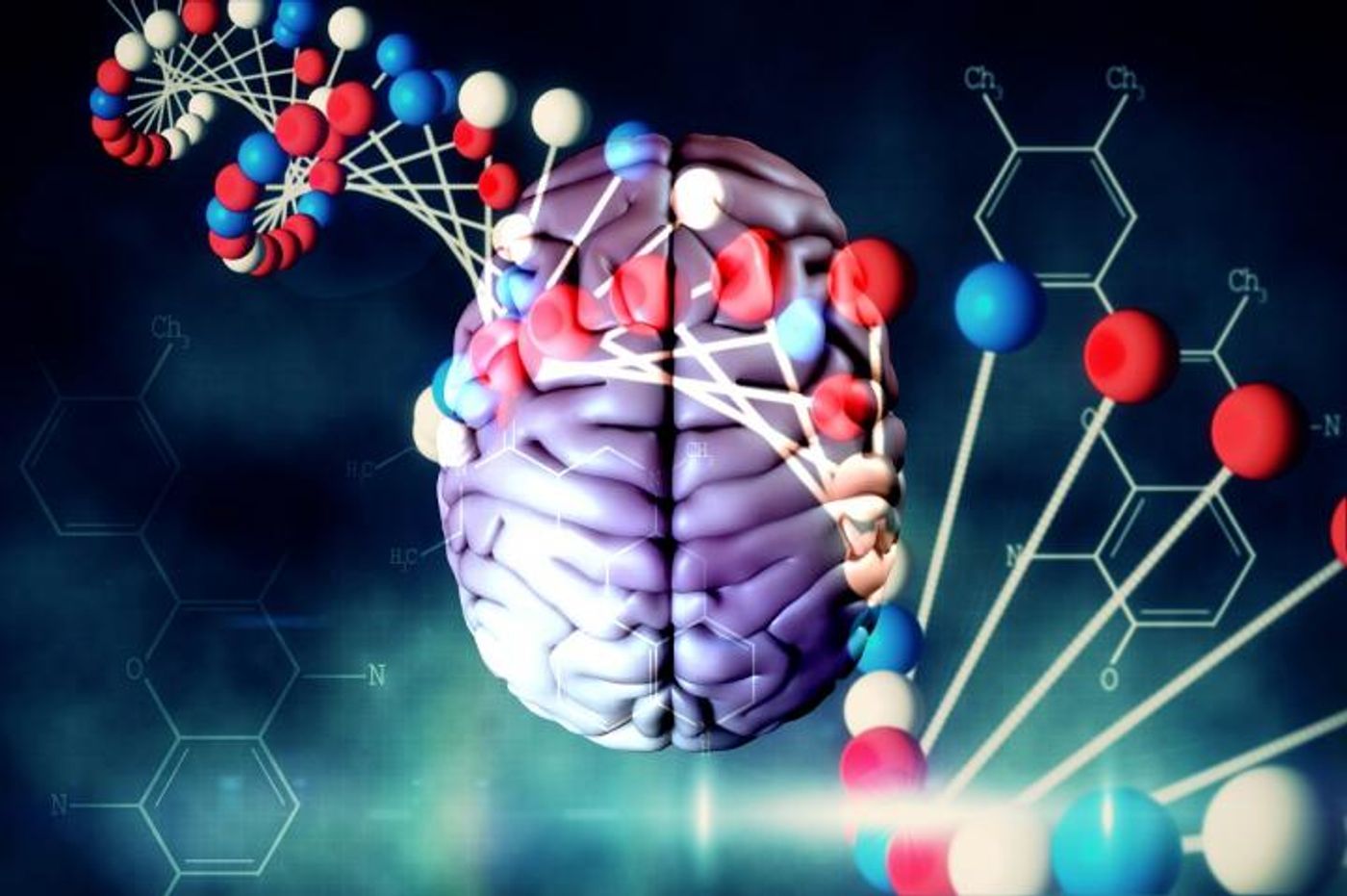 In a recent study of genes involved in brain functioning, their previously unknown features have been uncovered by bioinformaticians from the Moscow Institute of Physics and Technology and the Institute of Mathematical Problems of Biology, RAS. / Credit: MIPT Press Office