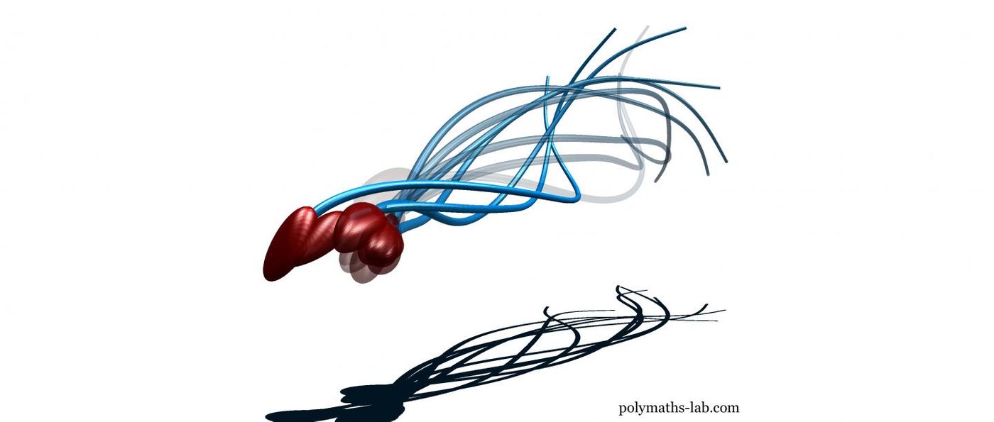 The sperm tail moves very rapidly in 3D, not from side-to-side in 2D as it was believed. / Credit: polymaths-lab.com
