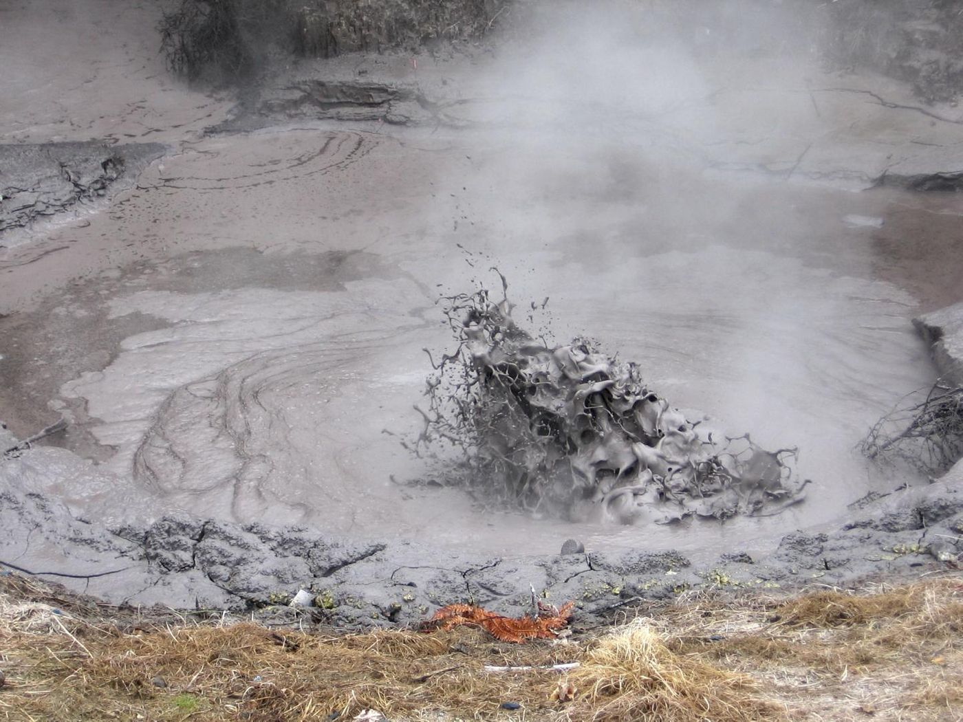 Sulfolobus acidocaldarius thrives in geothermal mud pools like this one in New Zealand / Credit: Lancaster University