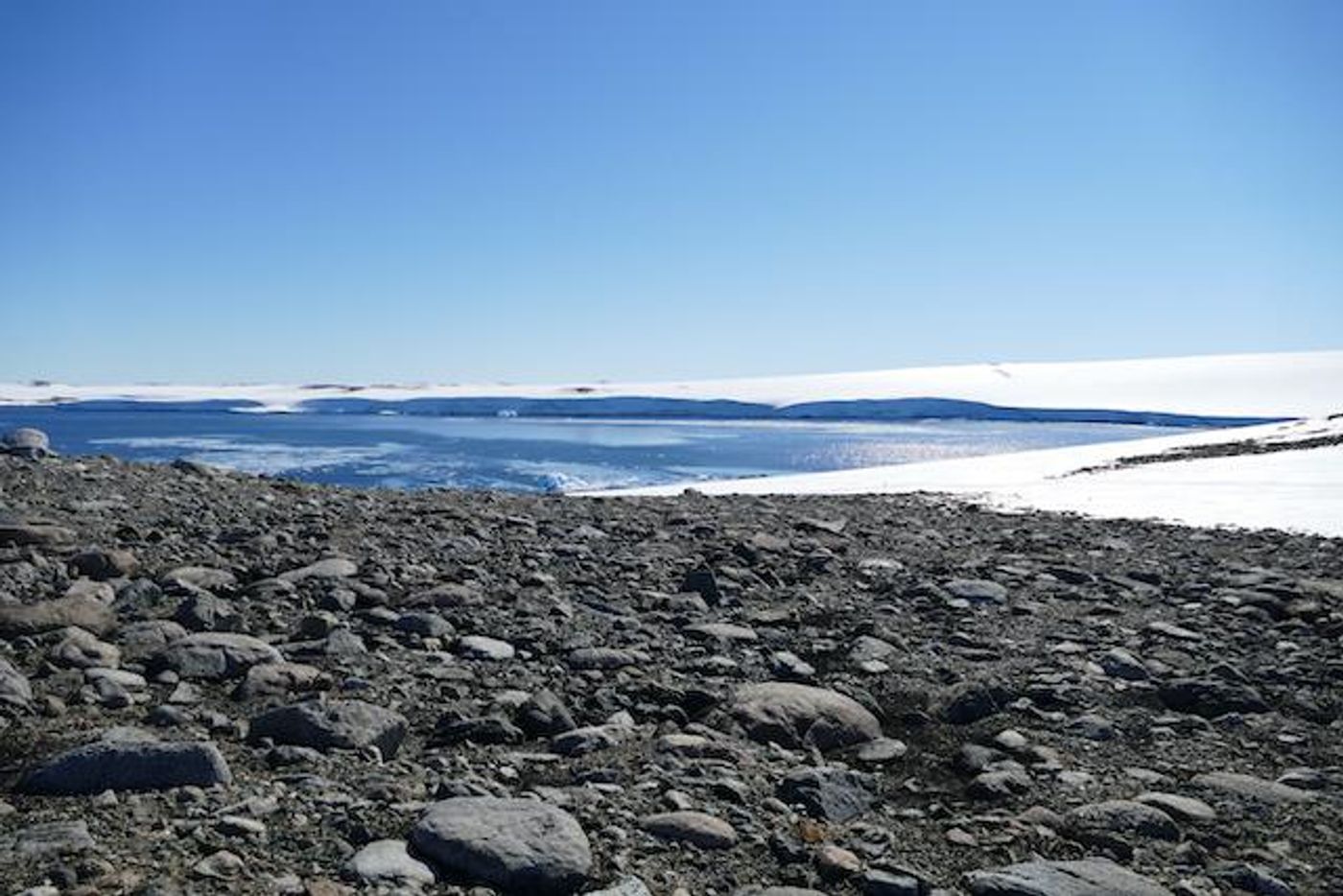 Robinson Ridge in the Windmill Islands, east Antarctica. This is the site where UNSW researchers first discovered air-eating bacteria. / Credit: Photo: Belinda Ferrari