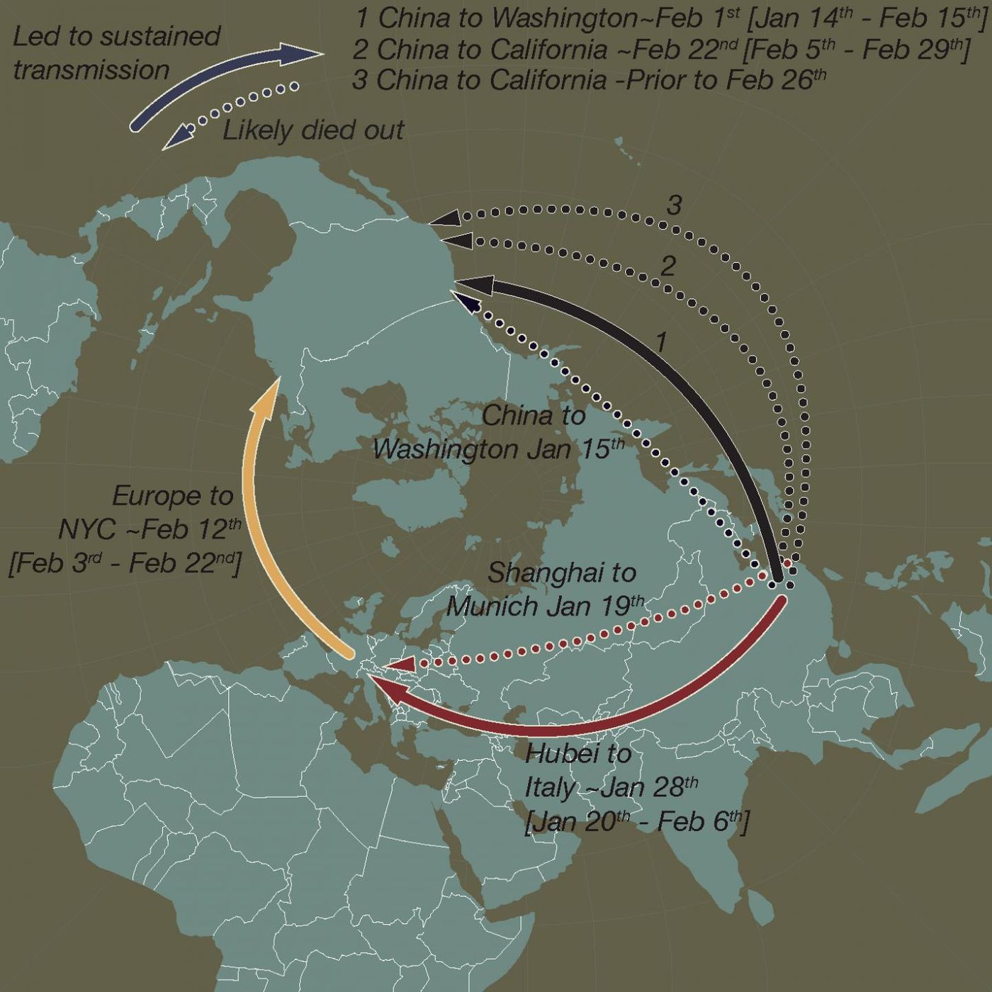 This schematic map shows early and apparently 'dead-end' introductions of SARS-CoV-2 to Europe and the US (dashed arrows). Successful dispersals between late January and mid-February are shown with solid arrows: from Hubei Province, China to Northern Italy, from China to Washington State, and later from Europe (as the Italian outbreak spread more widely) to New York City and from China to Californi / Credit: Andrew Rambaut/University of Edinburgh and Jeffrey Joy/University of British Columbia