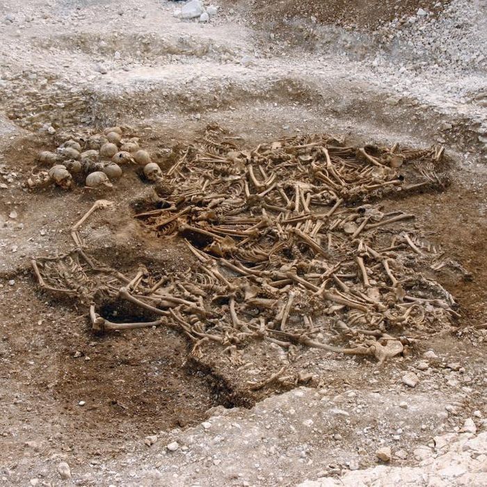 A mass grave of around 50 headless Vikings from a site in Dorset, UK. Some of these remains were used for DNA analysis. / Credit: Dorset County Council/Oxford Archaeology