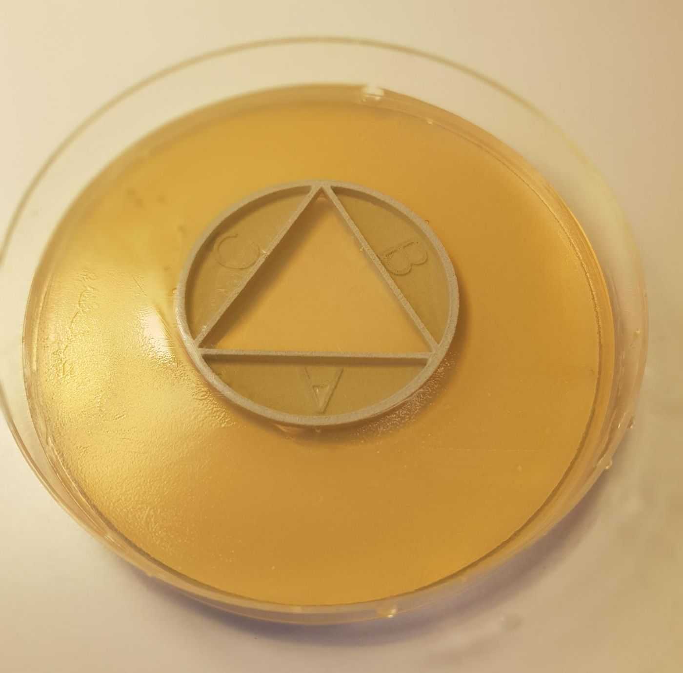 With a modified agar plate called CombiANT, high-speed tests can be performed that show how bacteria react to different combinations of antibiotics. / Credit: Nikos Fatsis-Kavalopoulos
