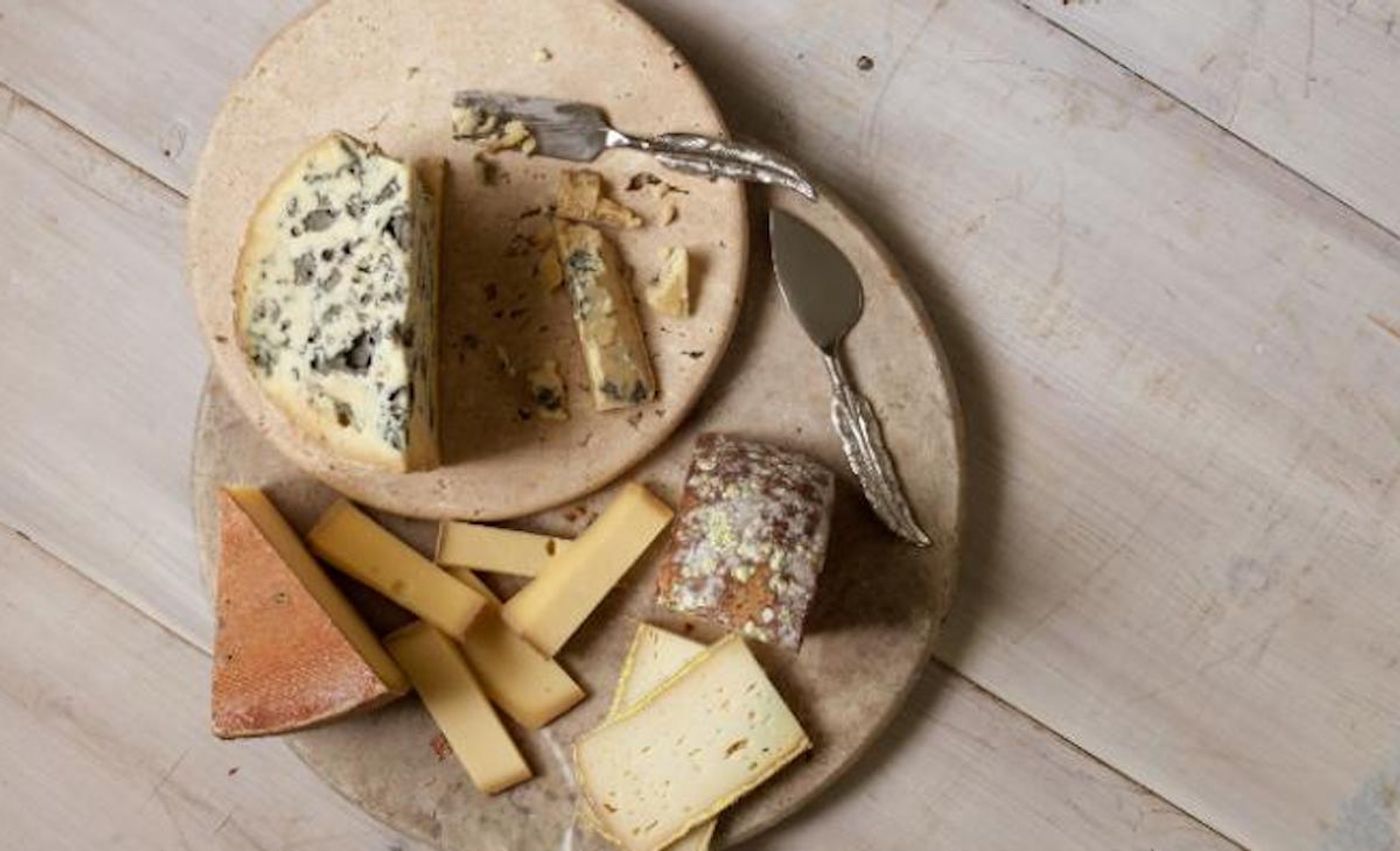 Fungi and bacteria key to ripening cheese communicate with and feed each other using volatile compounds / Credit: Adam Detour