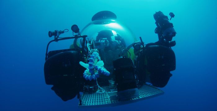 Researchers off the coast of Brazil collect a Pyrosoma atlanticum specimen with a special robotic arm on a submersible. / Credit: OceanX