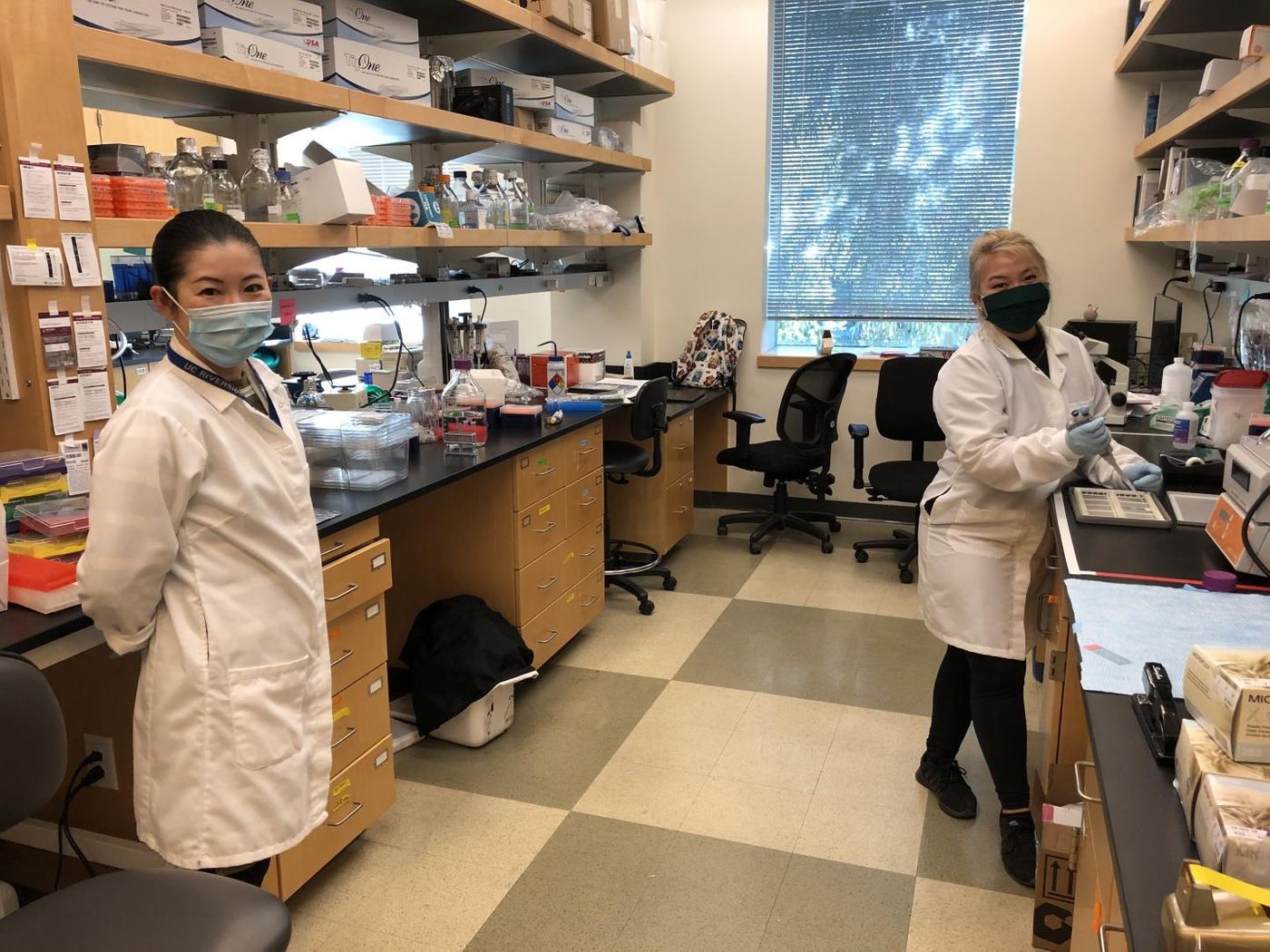 Sachiko Haga-Yamanaka (left) and Quynh Anh Thi Nguyen. Credit  Haga-Yamanaka lab, UC Riverside