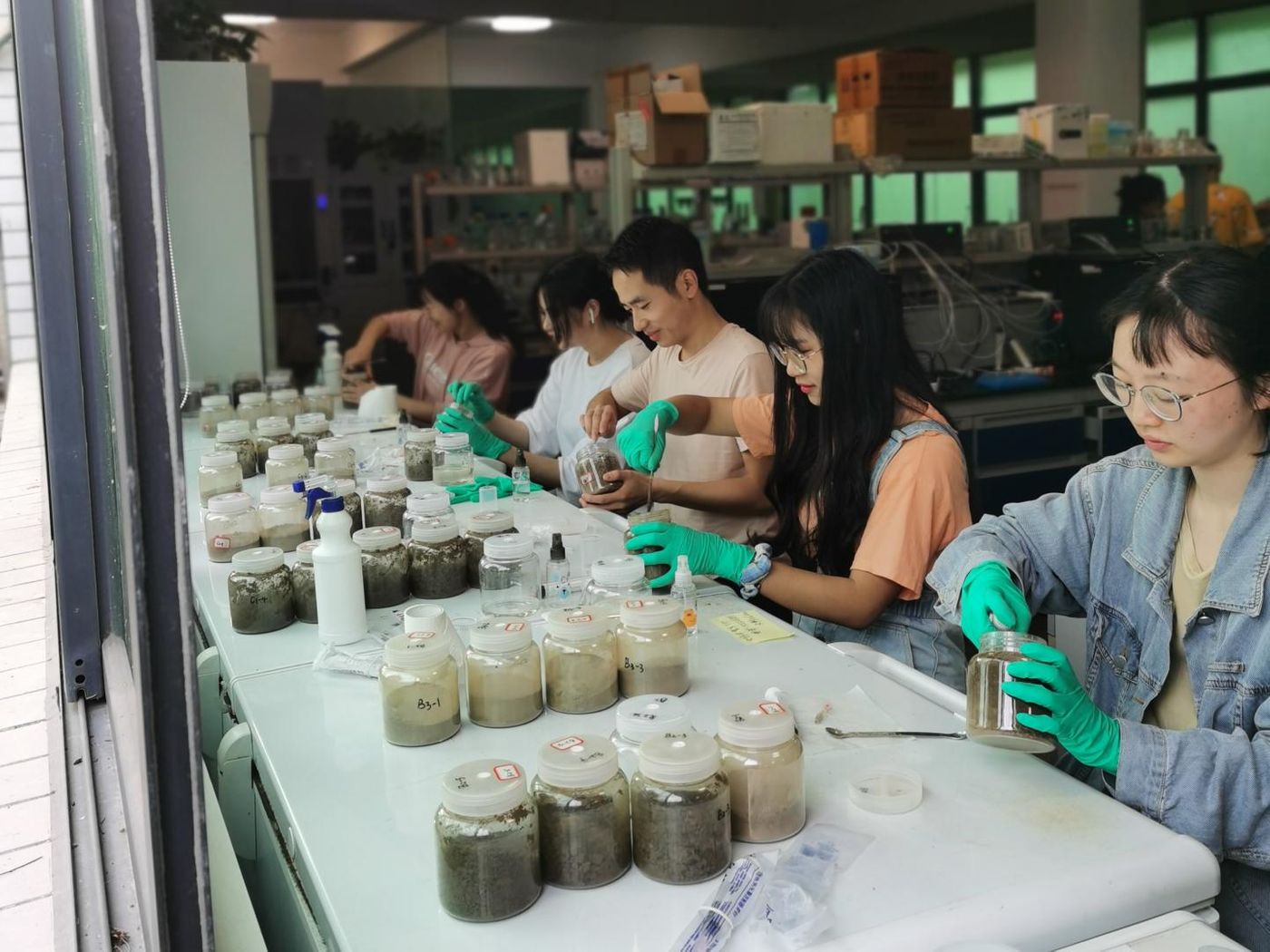 Setting up soil microcosms for herbicide exposure experiment / Credit: Liao Hanpeng