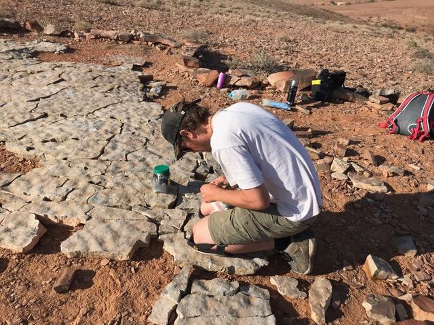 Paleontologist Scott Evans studying fossils in the Australian outback./ Credit: Droser Lab/UCR