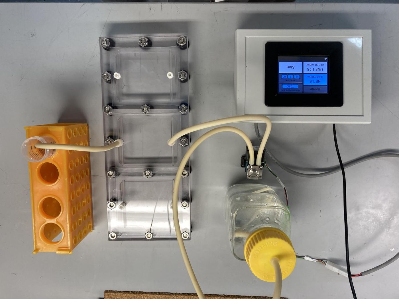 The researchers could isolate cells based on adhesion strength with this microfluidic cell-sorting device. / Credit: Benjamin Yeoman/Engler Lab