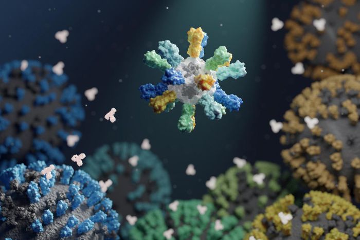 A depiction of a nanoparticle vaccine that contains proteins from many different flu strains. / Credit: UW Medicine Institute for Protein Design