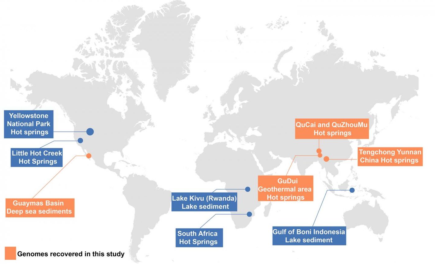 Location of samples from which Brockarchaeota genomes (orange) and 16S rRNA gene sequences (blue) have been recovered. The size of the circle corresponds to the total number of Brockarchaeota-related sequences in each location. / Credit: University of Texas at Austin