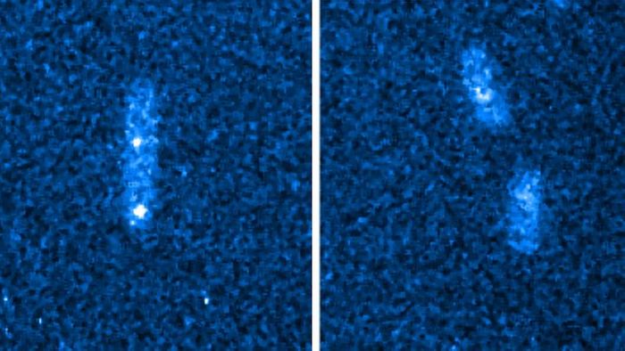 The left panel shows aborted replication activity in misaligned cells in the dark. The right panel shows continued replication in an aligned cell. / Credit: Image courtesy of Yi Liao.
