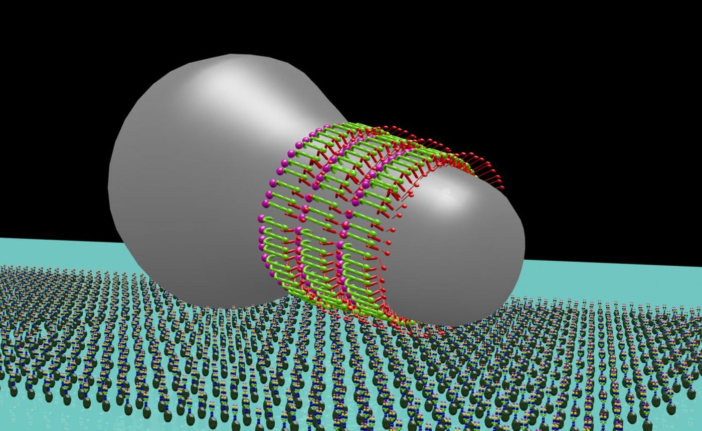 The gliding machinery of a Mycoplasma mobile cell is illustrated as three types of protein molecules (red, green and pink). / Credit: Masaki Mizutani (National Institute of Advanced Industrial Science and Technology (AIST))