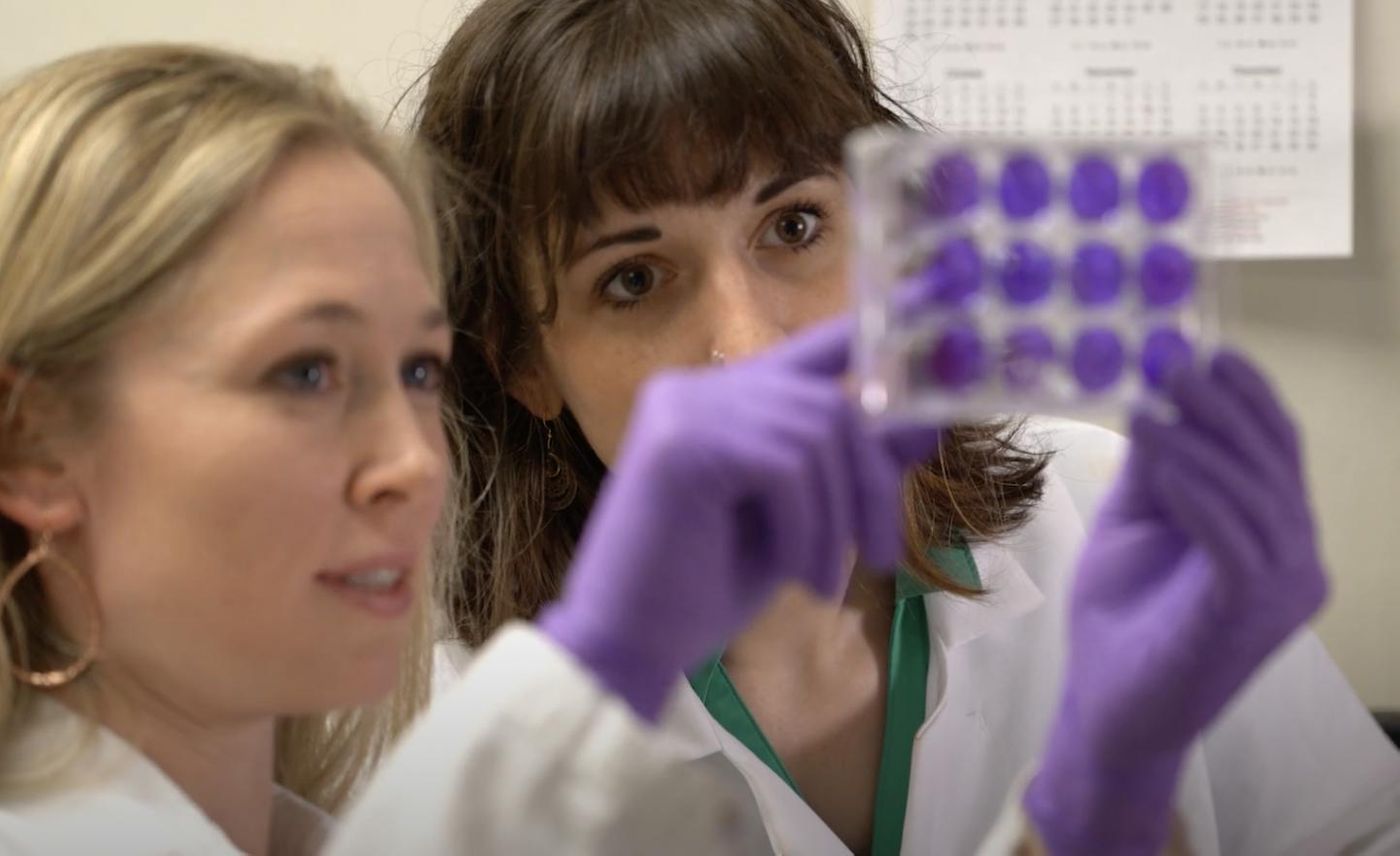 CSU Assistant Professor Rebekah Kading (left) and Dr. Anna Fagre (right) / Credit: Ron Bend/CSU