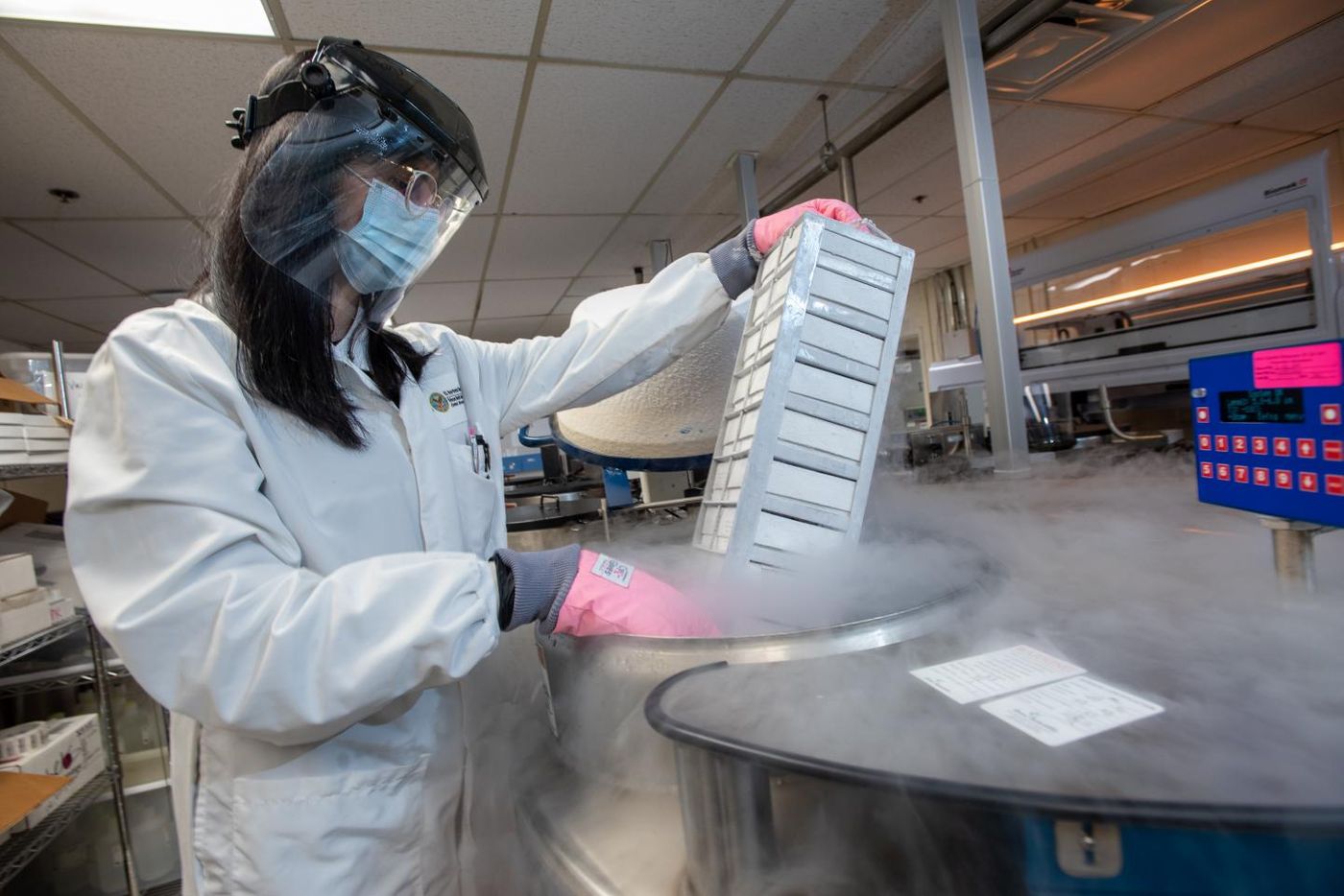 Health science specialist Yasamin Azadzoi removes Million Veteran Program samples from a cryotank at the Boston MVP facility. / Credit: Frank Curran