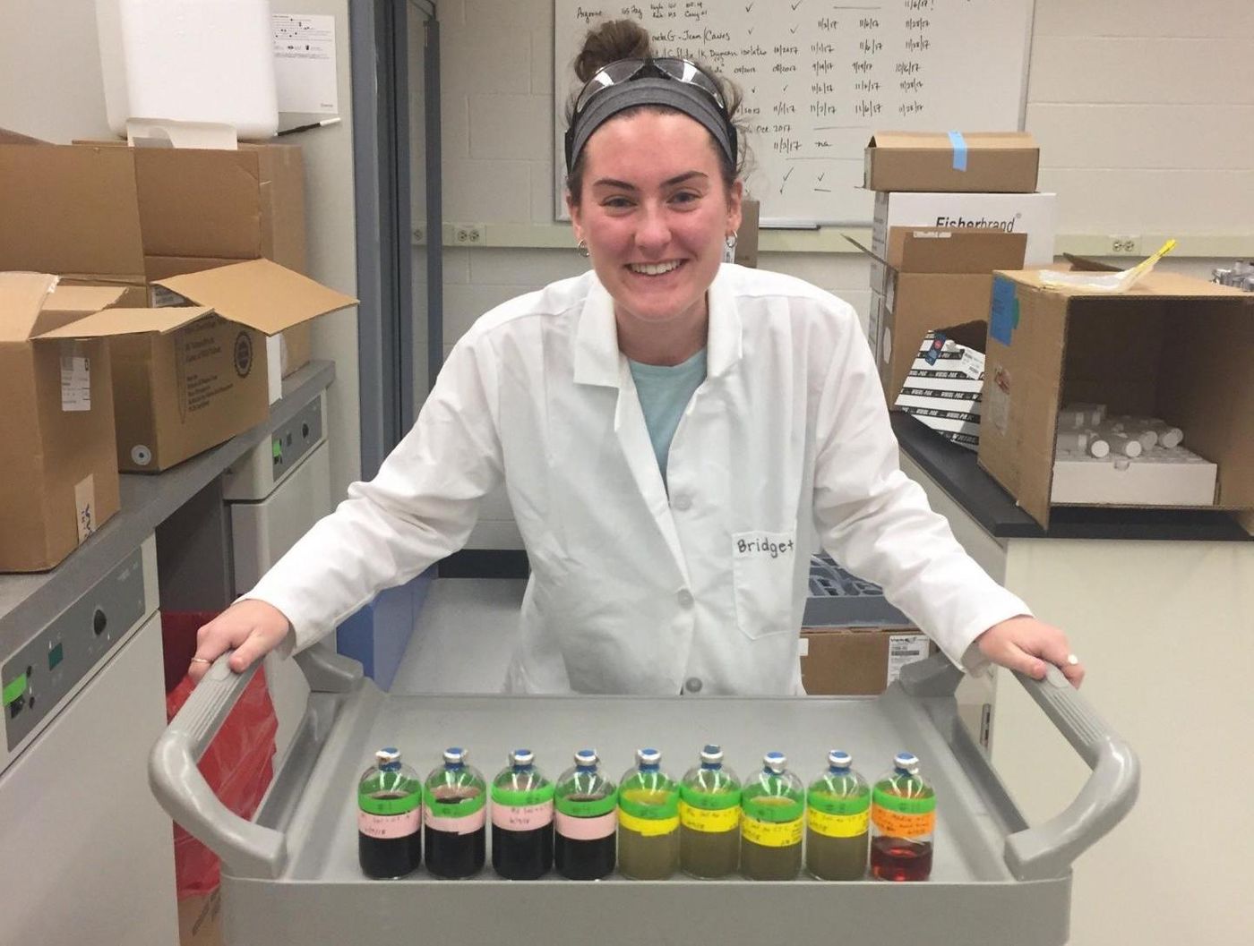 Lead author Bridget McGivern in June 2018, shortly after setup of the soil experiment. / Credit: Provided/Bridget McGivern