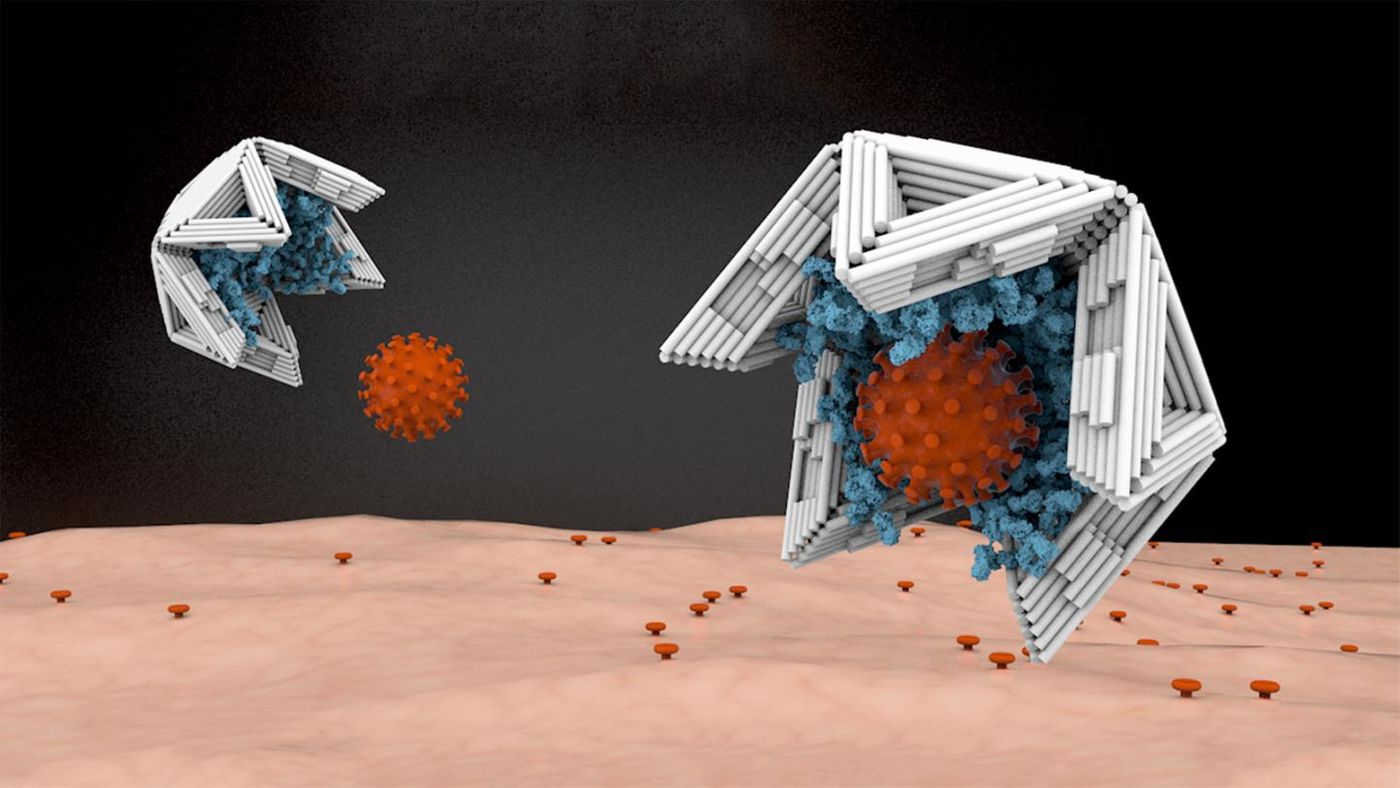 Lined on the inside with virus-binding molecules, nano-shells made of DNA material bind viruses tightly and thus render them harmless. / Credit: Elena-Marie Willner / DietzLab / TUM