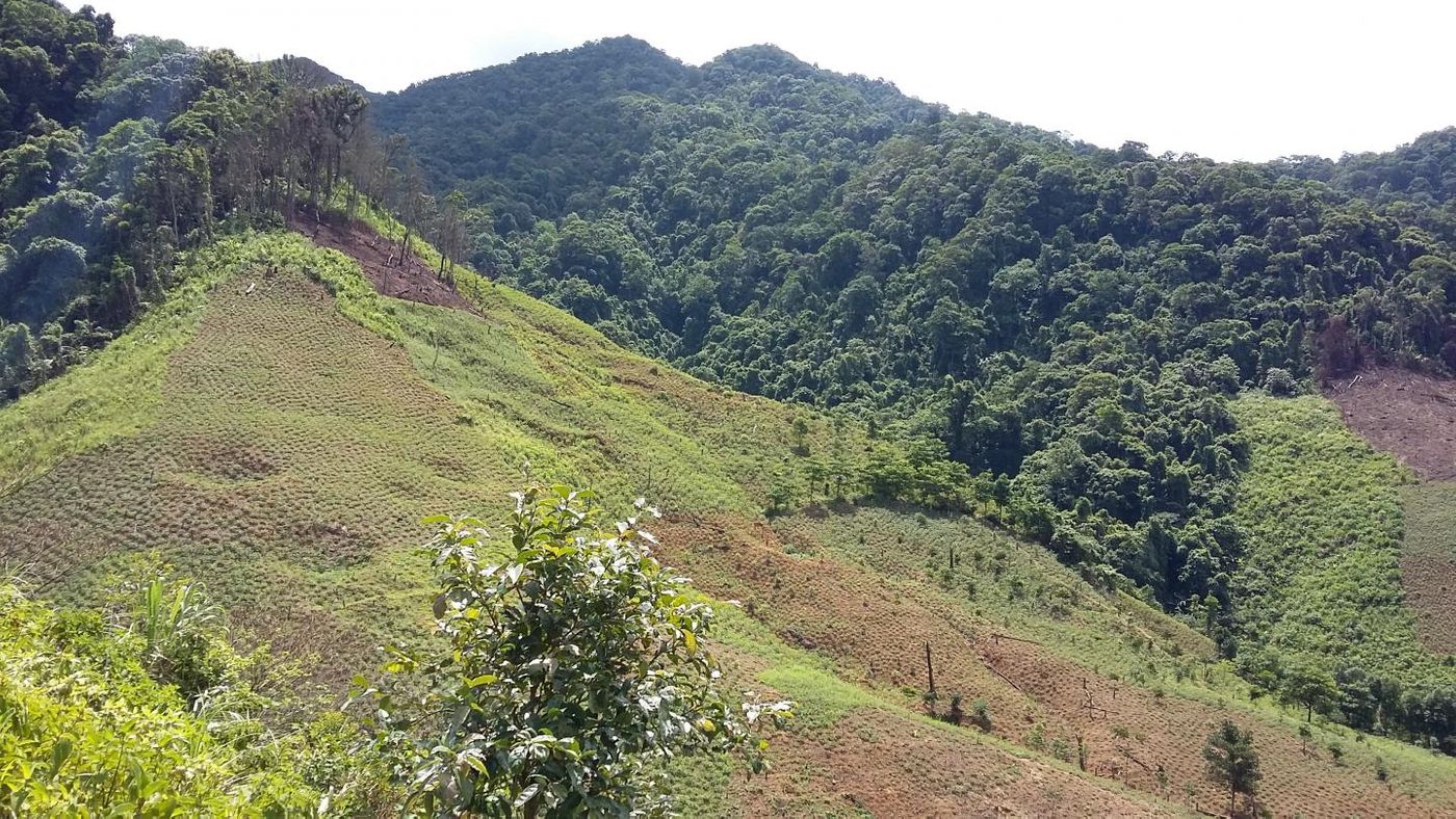 Forests cleared for agriculture on Vietnam mountains / Credit: Dominick Spracklen