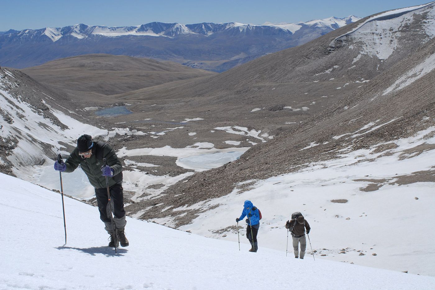 Scientists found vascular plants growing at record heights on these Indian mountains.