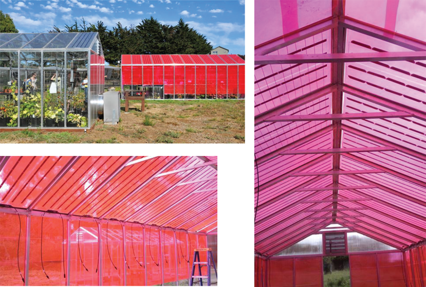 LUMO panels on greenhouse, credit: Creative Commons via Earth's Future