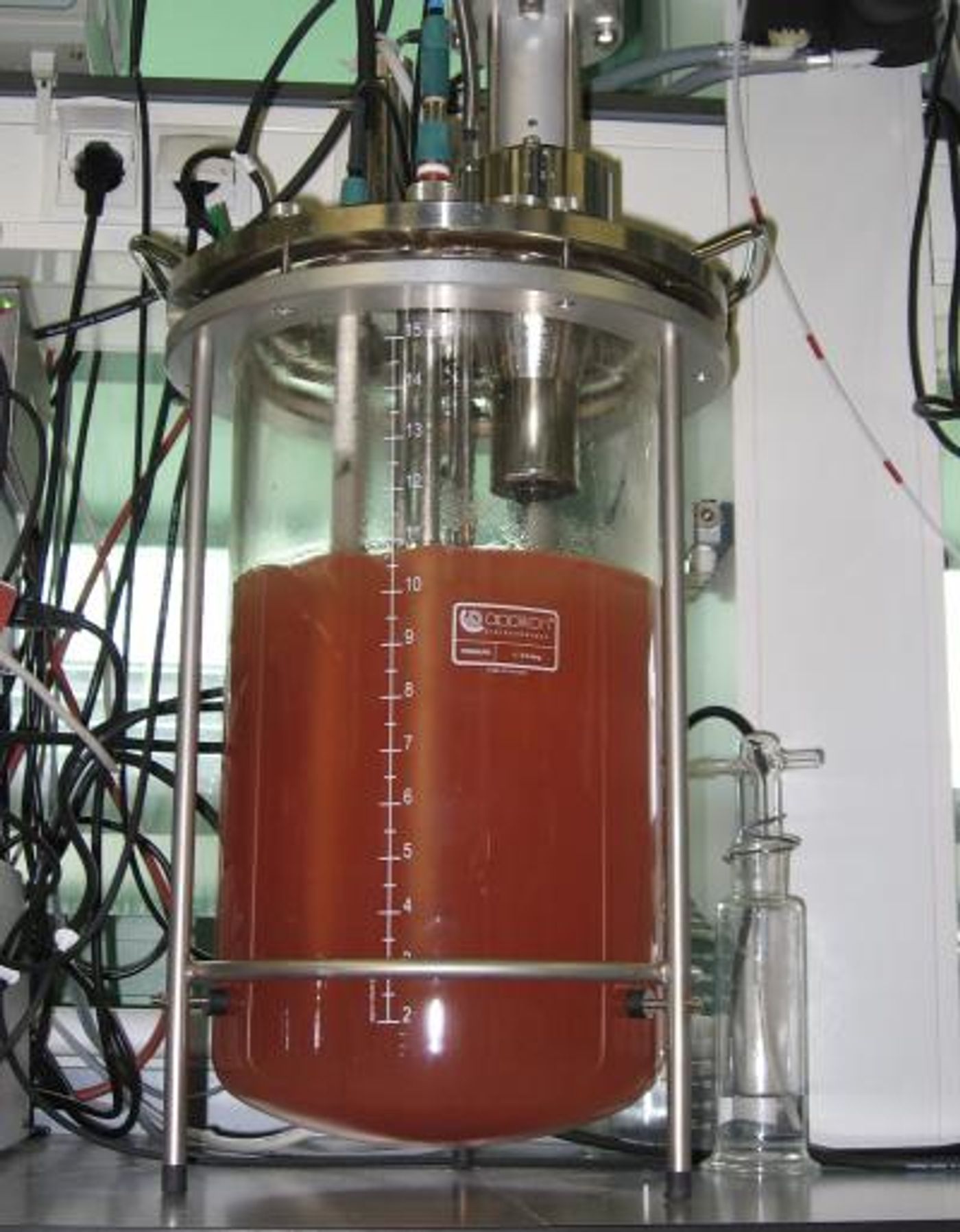 An anammox culture is in a membrane bioreactor. The red color is due to the heme c group of the protein cytochrome c that plays an important role in the anammox metabolism. / Credit: B. Kartal