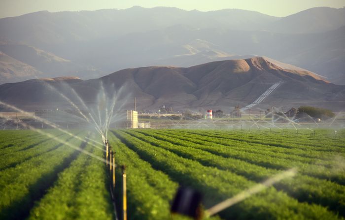 Irrigation in the San Joaquin Valley uses much of California's groundwater. Photo: KUOW