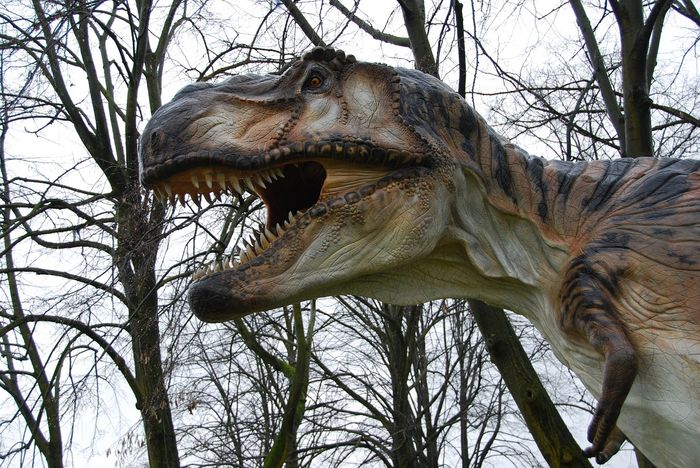 Was T. Rex feathered, or not? Science continues to sway back and forth.