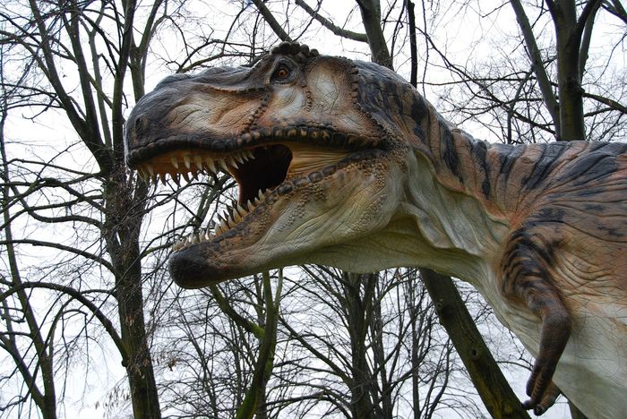 t rex with wings