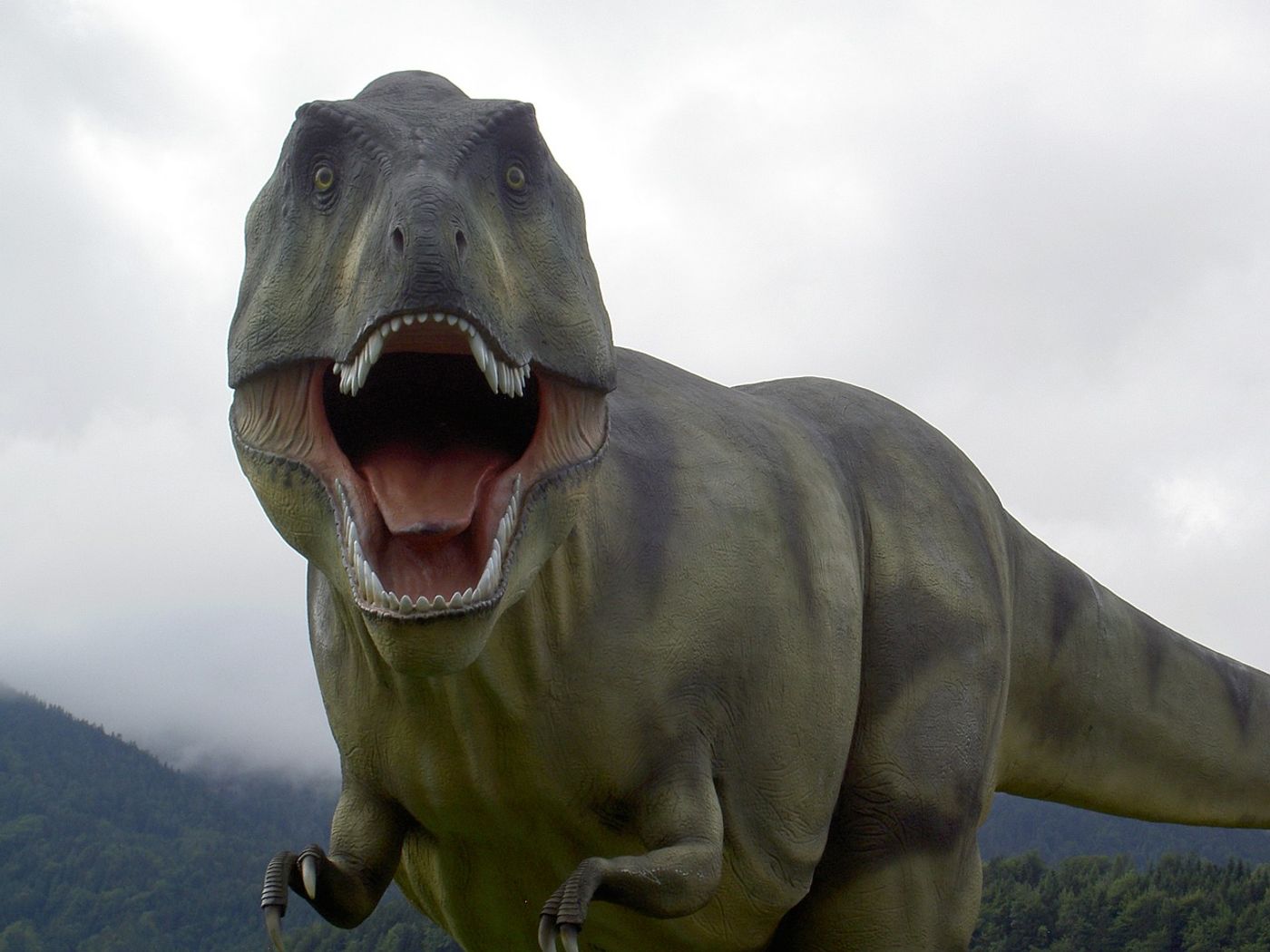 T-rex dinosaur could not have run at high speed, says study