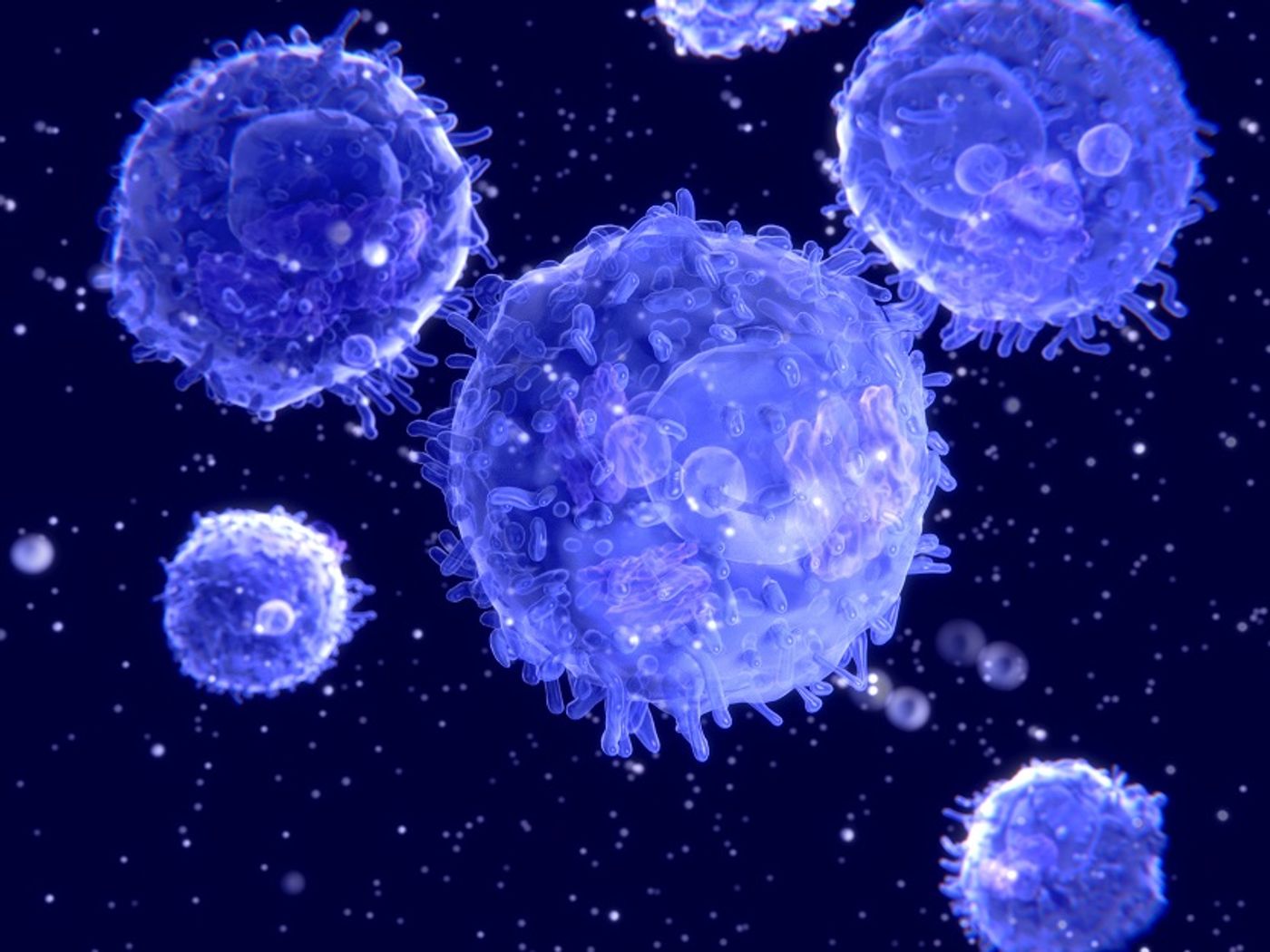 T cells are produced in the thymus and promote cell-mediated immune response, also known as the adaptive immune response. Credit: Pulmonary Fibrosis News