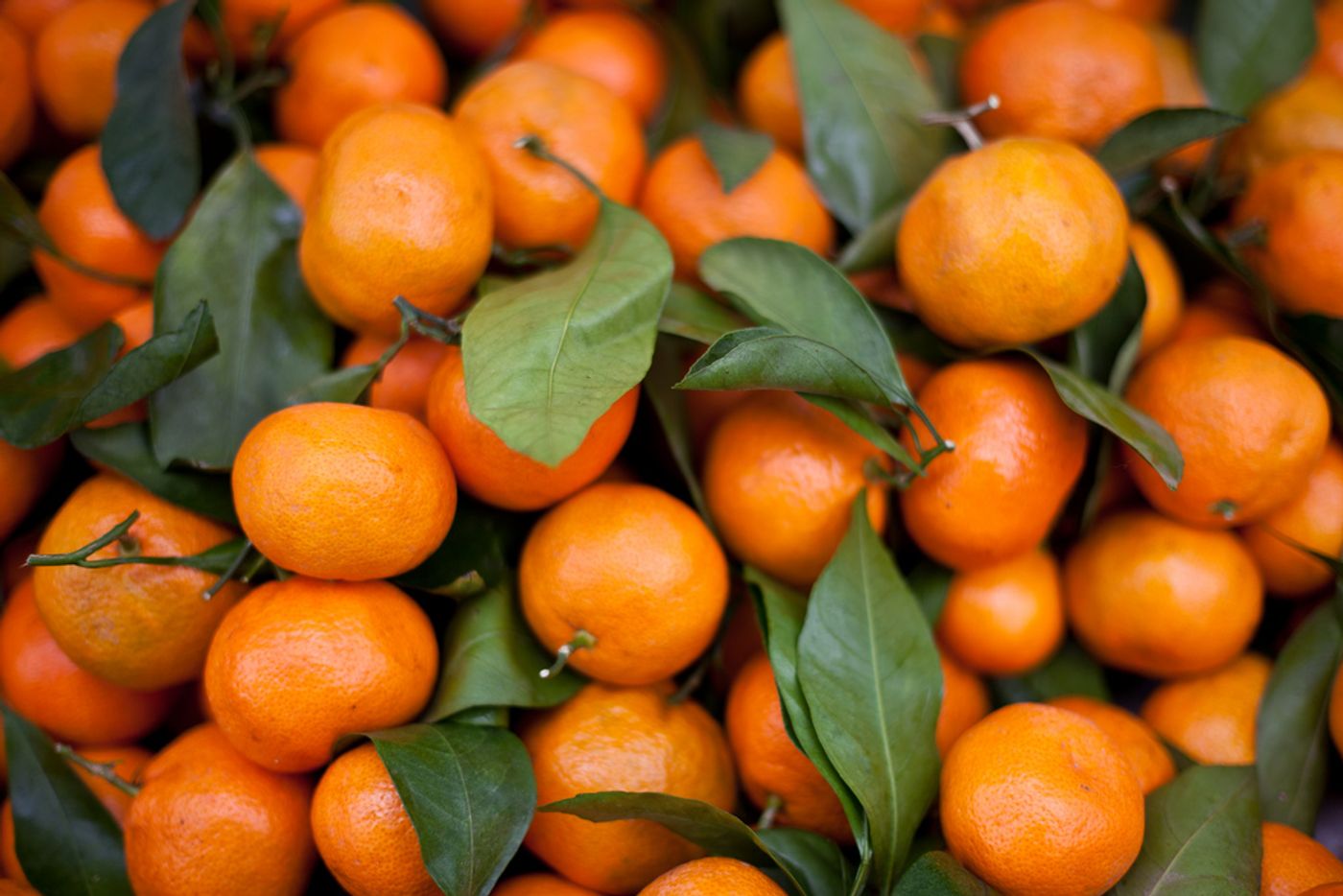 Tangerines/ Credit: Neil Conway 