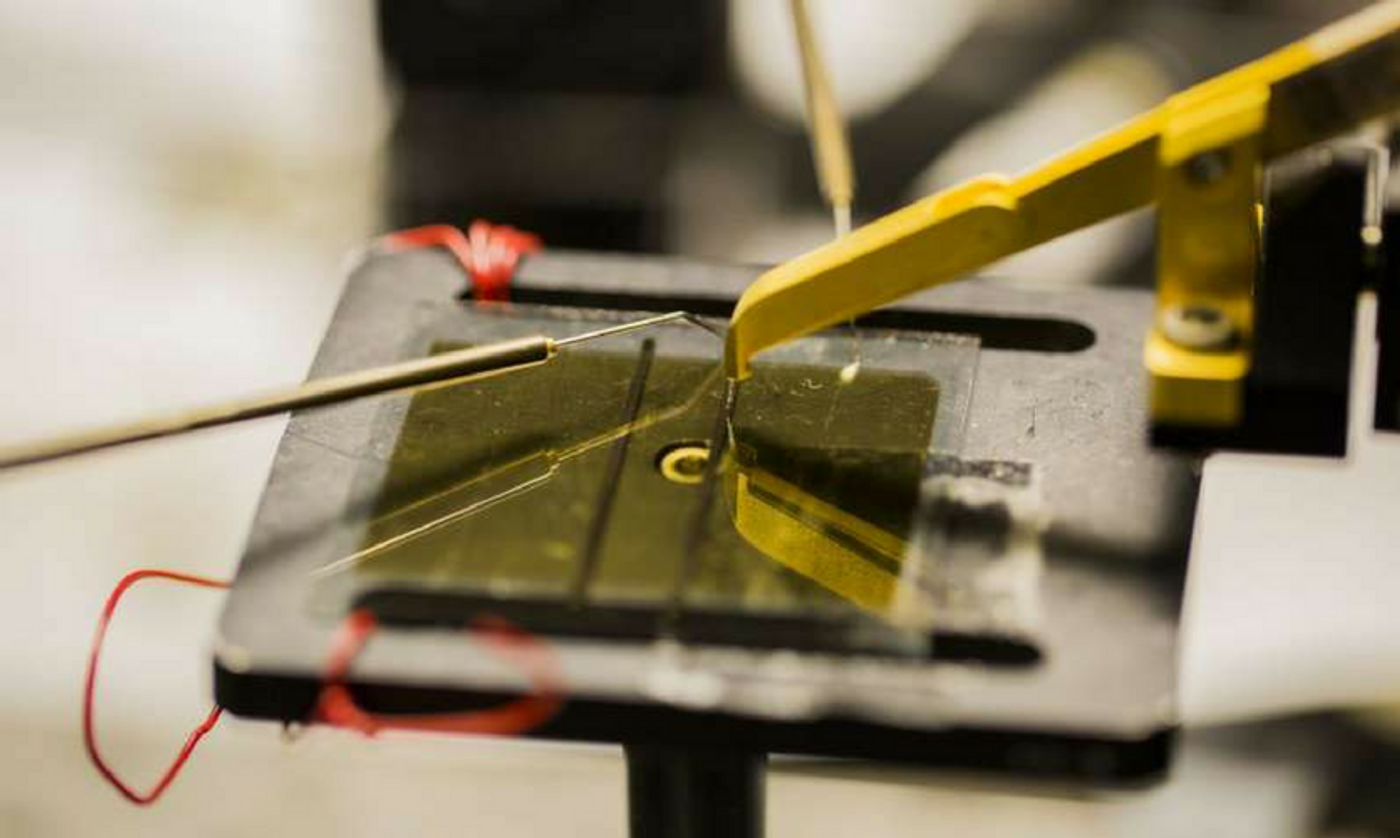 U. Michigan's design of organic solar cell. Credit: Robert Coelius/Michigan Engineering