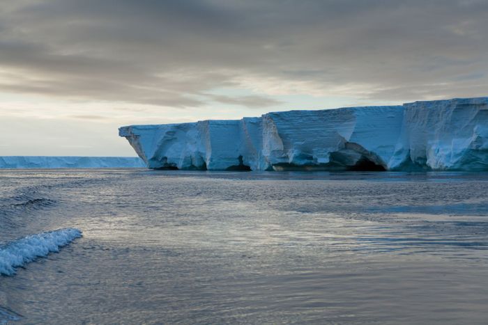 The Ross Ice Shelf. Photo: Oceanwide Expeditions