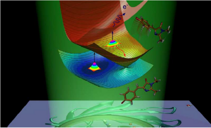 The Intrinsically Fluorescent Nature of GFP Chromophore | Chemistry And ...