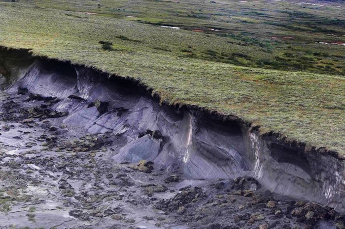 Thawing permafrost. Photo: Discover Magazine