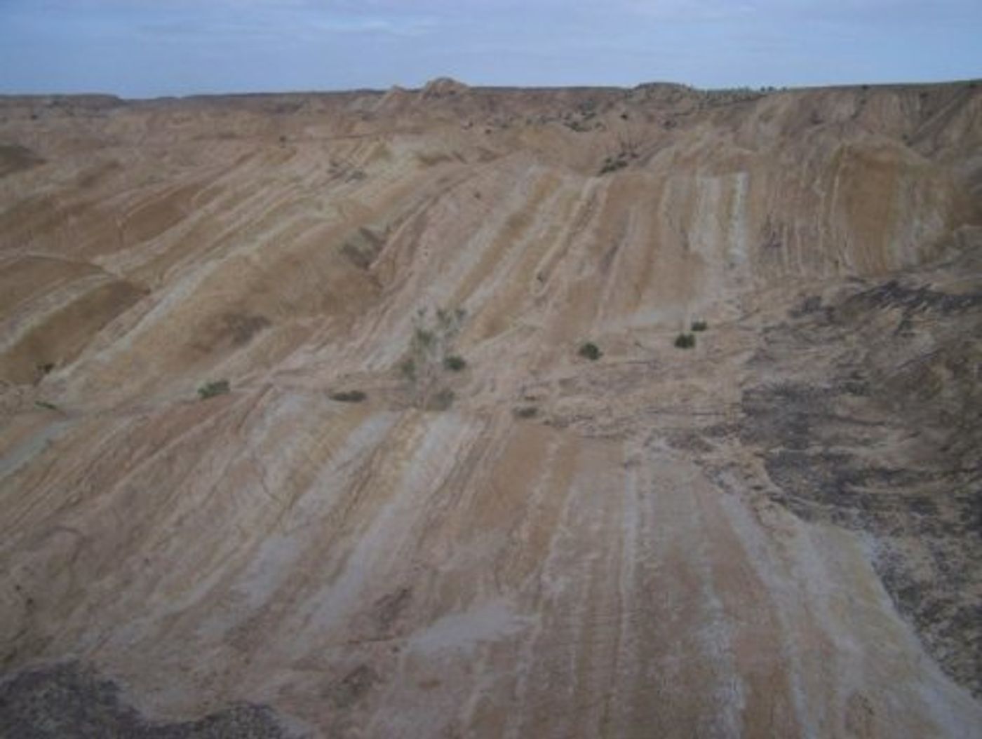 Stratification in Tibet sediment. Photo Credit: Qingquan Meng