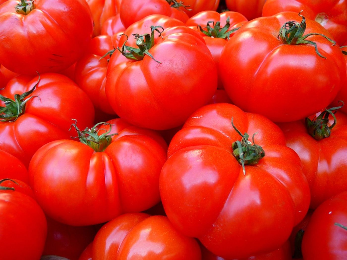 Watch the video above to learn about all the ways that tomatoes benefit your health! Photo: Pixabay