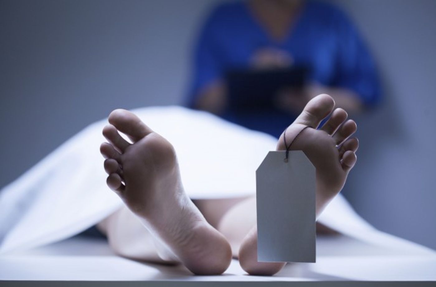 The postmortem microbiome could reveal time of death.